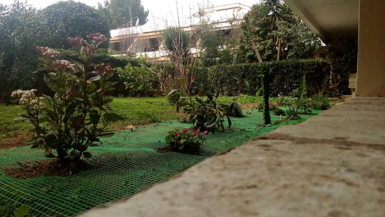 Garden Studio 55 S.M. Atina Dış mekan fotoğraf